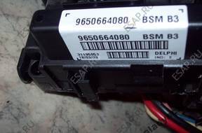 БЛОК BSM DO PEUGEOT 206