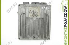 БЛОК УПРАВЛЕНИЯ 17217   ECU DELPHI 8200129063