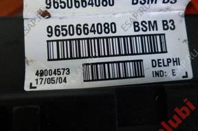 БЛОК УПРАВЛЕНИЯ BSM B3 9650664080 DELPHI