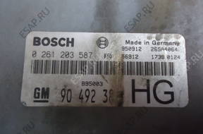 БЛОК УПРАВЛЕНИЯ  OMEGA  BOSCH 0261203587 90492381