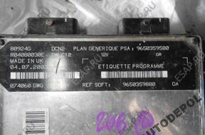 БЛОК УПРАВЛЕНИЯ   PEUGEOT 206 1.9 D 9650359880