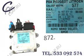 БЛОК УПРАВЛЕНИЯ УСИЛИТЕЛЯ CITROEN C3 9655757780 577