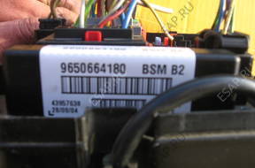 БЛОК z BSM 9650664180 - Peugeot 206 1.4 Hdi
