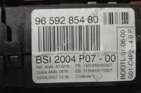 BSI 2004 P06-00 9659285480 EUROPA
