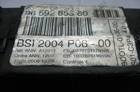 BSI 9659285380