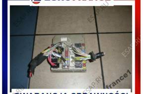 BSI BSM Clio III 3 1,5 DCI R 9012  2389  902 663