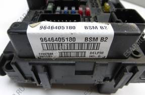 BSI BSM МОДУЛЬ БЛОК УПРАВЛЕНИЯ PEUGEOT 307 9646405180 B2
