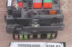 BSI BSM PEUGEOT 307 CITROEN B3 9650664080 DELPHI
