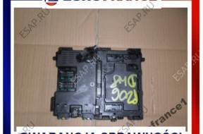 BSI Peugeot 206 DW8  9626460880  Siemens