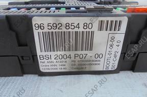 BSI  PEUGEOT 207 1,6B