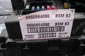 BSM 9650664080 B-3 PEUGEOT 307