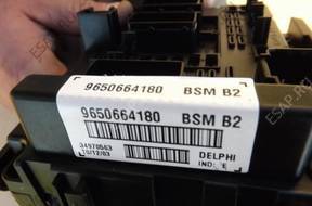 BSM B2 Delphi 9650664180 E - Peugeot 206 1.4 Hdi