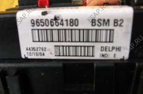 BSM B2 Delphi 9650664180 - Peugeot 206 Citroen C3