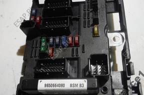 BSM B3 Delphi 9650664080 Peugeot 206