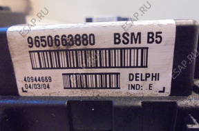 BSM B5 PEUGEOT CITROEN 9650663880 DELPHI IND E