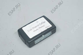 D553 BMW 320i E90 Dual Channel Cellular InCartec