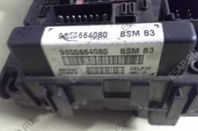 DELPHI BSM B3 9650664080 E
