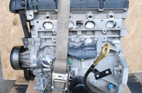 двигатель 1.25 FORD FIESTA MK7 8A6G6007 GOY SUPEK