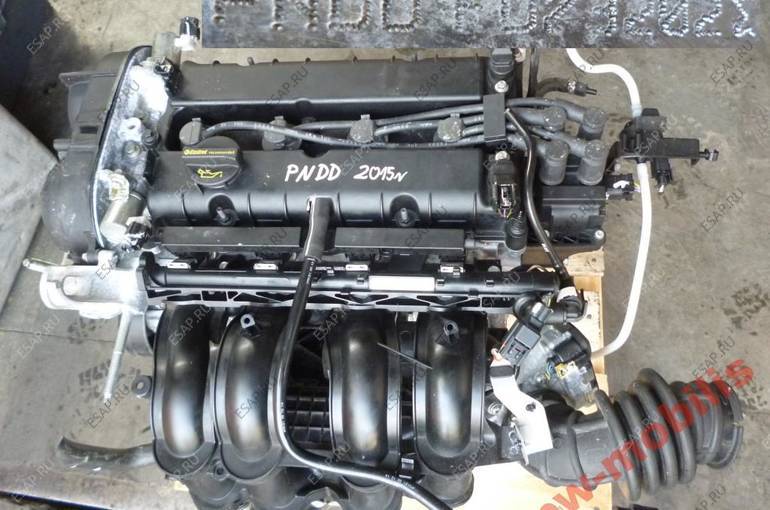 Купить контрактный двигатель на форд фокус. Контрактный двигатель на Форд фокус 3. Тип двигателя PNDD. Двигатель PNDA 1.6 125 Л характеристики. PNDD Форд.