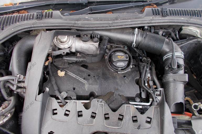 Купить Двигатель Шкода Октавия 1.9 Tdi