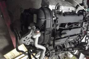 FIESTA MK7 FOCUS MONDEO двигатель MOTOR 1.6 16V 8A6G