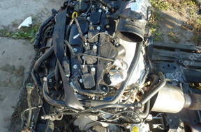 FORD FOCUS III MK3 2011 двигатель 1.6 TURBO ECOBOOST