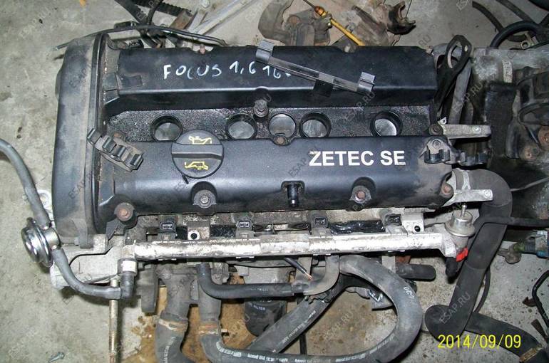 Форд фокус 1.6 zetec. Двигатель Zetec se 1.4. Двигатель ЗЕТЕК se 1.6 100лс. Двигатель Zetec se 1.6. Zetec 1.6 16v.