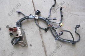Форсунка AUDI A6 4G 3.0TFSI WIZKA ФОРСУНОК 06E971627AD