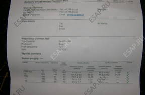 Форсунка  RENAULT 2.0 DCI 0445110338 2012 год.