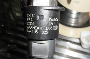 Форсунка  SILNIKA PSA 2.2HDI 16V 4H0 4HT 170