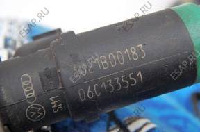 Форсунка ТОПЛИВНАЯ РАМПА КОМПЛЕКТ 06C133551 AUDI A4 A6 3.0 ASN
