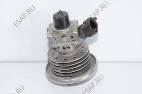 Форсунка VW AUDI   ADBLUE 3C0131113