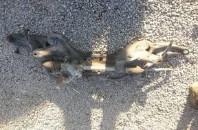 HONDA JAZZ 1.2 1.3 С УСИЛИТЕЛЕМ РУЛЕВАЯ РЕЙКА