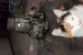 КОРОБКА ПЕРЕДАЧW PEUGEOT 205 1.1