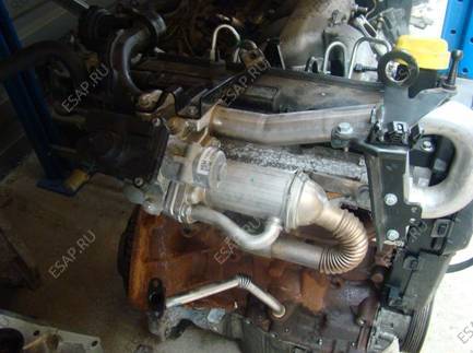 Nissan Note Kubistar K12 двигатель 1.5 DCI DELPHI 06-