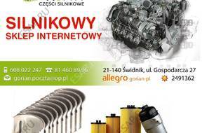 PANEWKI ROZRZDU FILTRY VW AUDI A6 2.0 TDI