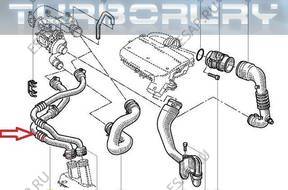 ПАТРУБОК ШЛАНГ ТУРБО MEGANE SCENIC 1,9 DCI 7700111233