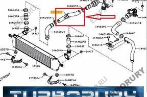 ПАТРУБОК ШЛАНГ ТУРБО NISSAN QASHQAI 1.5DCI 14463JD56A