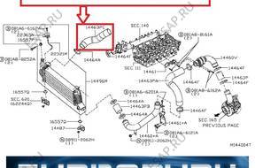 ПАТРУБОК ШЛАНГ ТУРБО PRZEWD NISSAN NAVARA  14463EB316