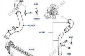 ПАТРУБОК WĄŻ ИНТЕРКУЛЕР/A FORD FOCUS 2 indeks 1480555
