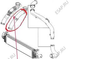 ПАТРУБОК W ИНТЕРКУЛЕР/A FORD FOCUS indeks 1496240