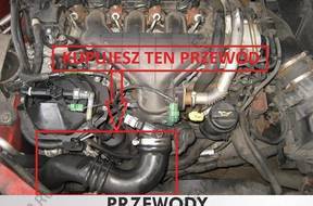 ПАТРУБОК W ТУРБО FORD FOCUS 2.0TDCi C-MAX 1530297