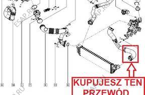 ПАТРУБОК W ТУРБО ИНТЕРКУЛЕР RENAULT MASTER  2,3 DCI