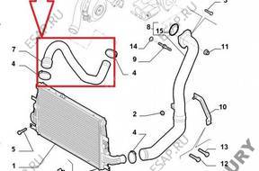 ПАТРУБОК W ТУРБО ИНТЕРКУЛЕРА ALFA 159 JTDm 50508204