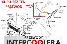 ПАТРУБОК W ТУРБО ИНТЕРКУЛЕРА NISSAN P12 14463AW304