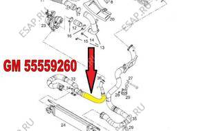 ПАТРУБОК W ВОЗДУХА GM OPEL CORSA 1.3 CDTI 55559260