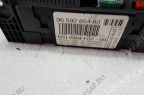 peugeot 207 МОДУЛЬ BSI 9659285480