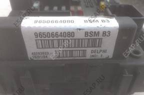 Peugeot 307 2.0hdi bsm