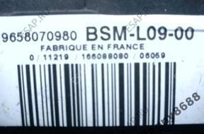 PEUGEOT 407 2,7 HDI МОДУЛЬ BSM 9658070980