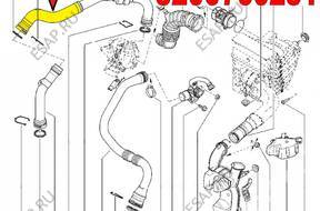 PRZEWD ИНТЕРКУЛЕР/A RENAULT MEGANE 8200760281